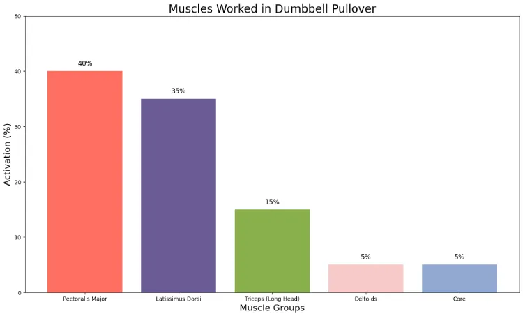 Muscles Worked in Dumbbell Pullover