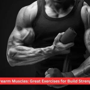 Forearm Muscles: Great Exercises for Build Strength