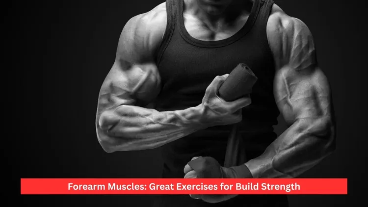Forearm Muscles: Great Exercises for Build Strength