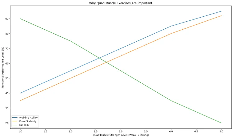 The reason why Quad Muscles Exercises are important.
