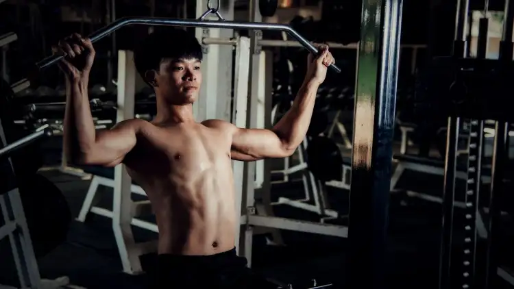 The most important Advantages of Overhead Press Training.