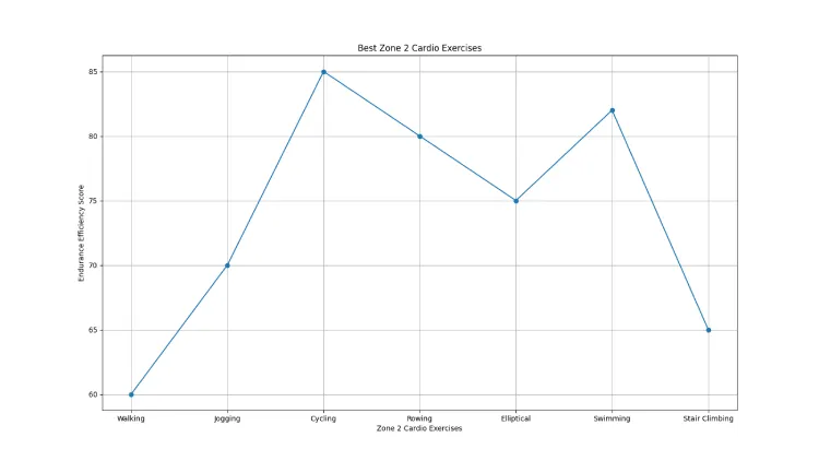 Best Zone 2 Cardio Exercises
