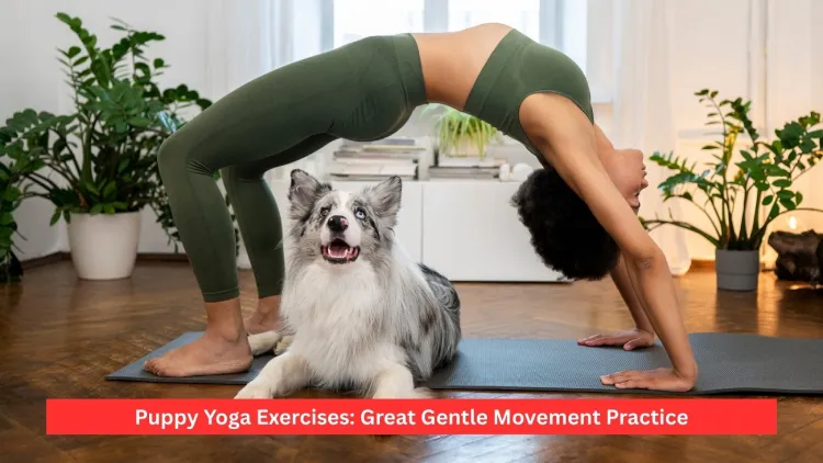 Puppy Yoga Exercises: Great Gentle Movement Practice