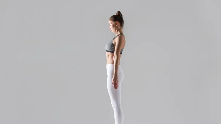 Muscles Worked during the Upright Row