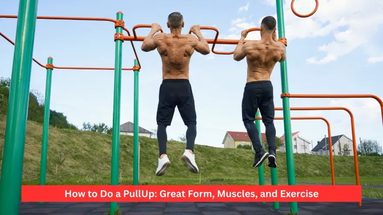 How to Do a PullUp: Great Form, Muscles, and Exercise