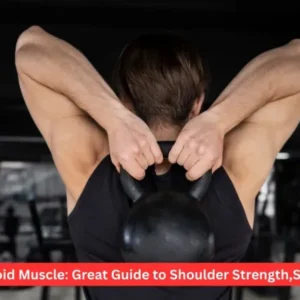 Deltoid Muscle: Great Guide to Shoulder Strength,Shape