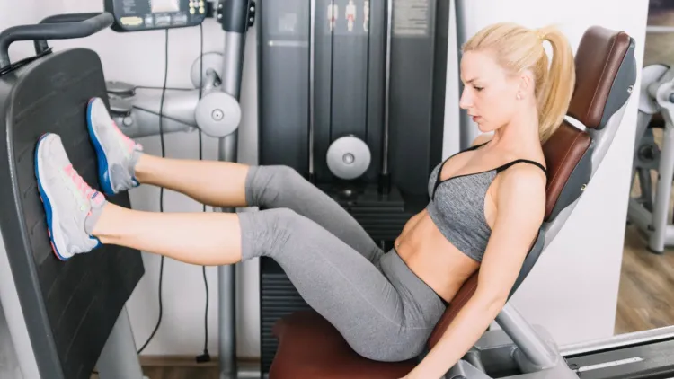 The muscles involved in the Leg Curls