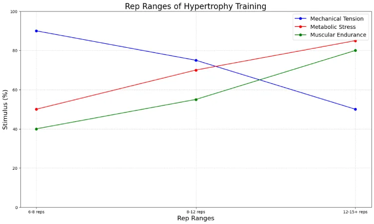 Rep Ranges of Hypertrophy Training