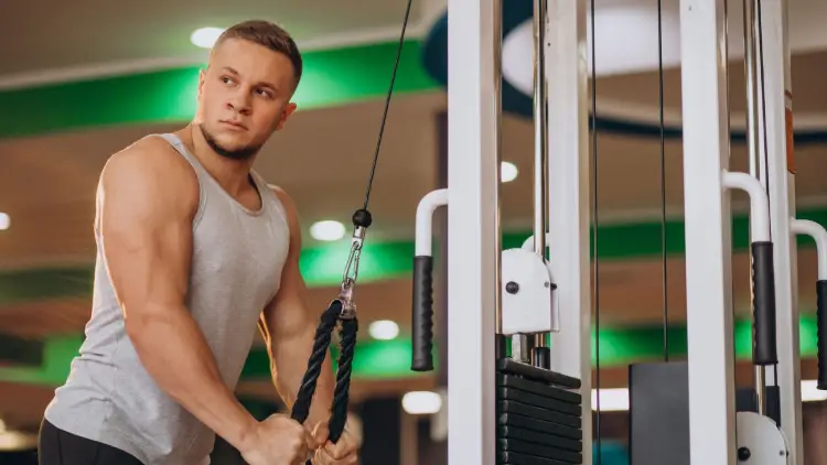 Exercises to do after triceps exercises are stretches