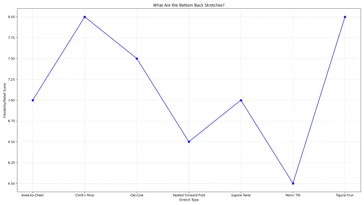 What Are the Bottom Back Stretches?