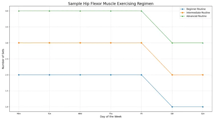 Sample Hip Flexor Muscle Exercising Regimen.