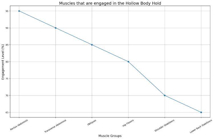 Muscles that are engaged in the Hollow Body Hold
