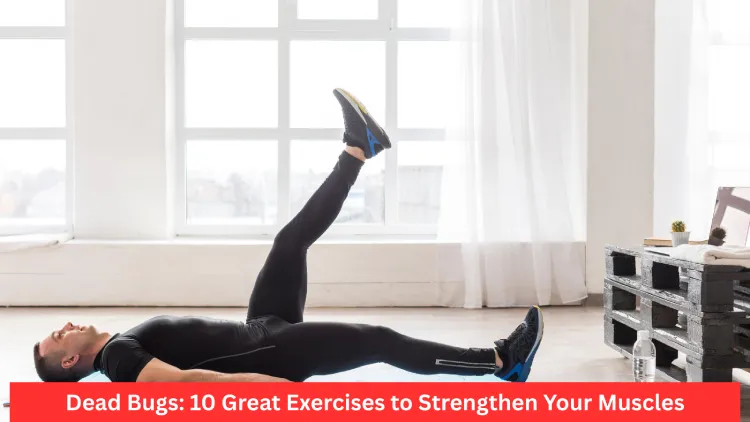 Dead Bugs: 10 Great Exercises to Boost Muscle Strength