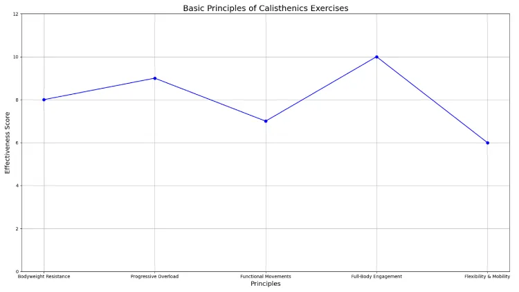 Basic Principles of Calisthenics Exercises