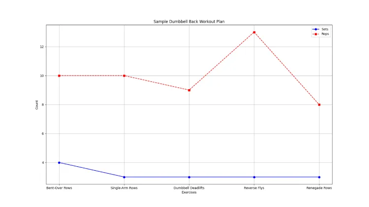 Sample Dumbbell Back Workout Plan