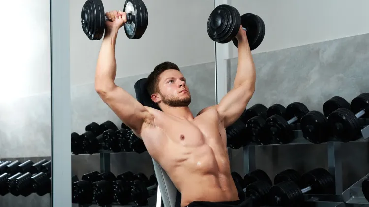 Muscles involved in the Dumbbell Shoulder Lifts