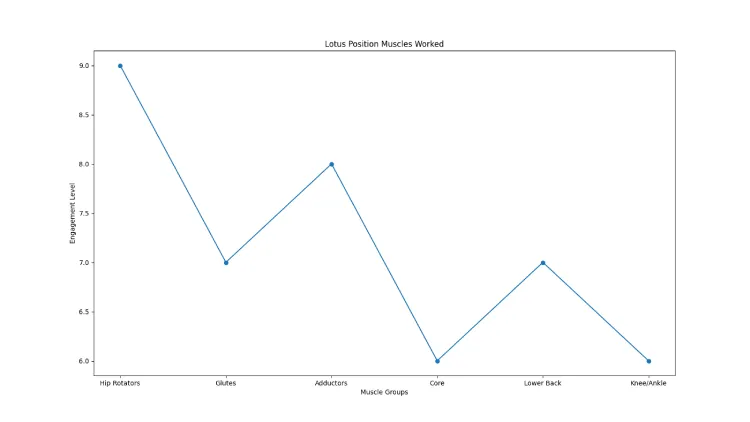Lotus Position Muscles Worked