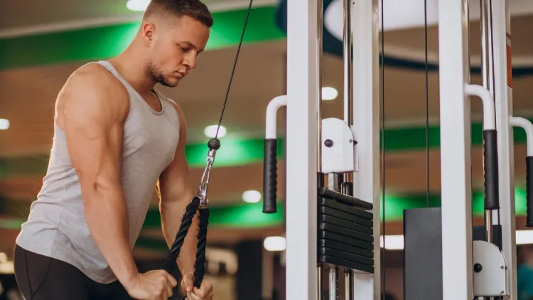 Chest Exercises for Push Day