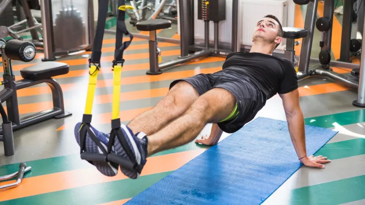 Muscles Worked During Dips