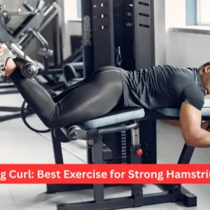 Lying Leg Curl