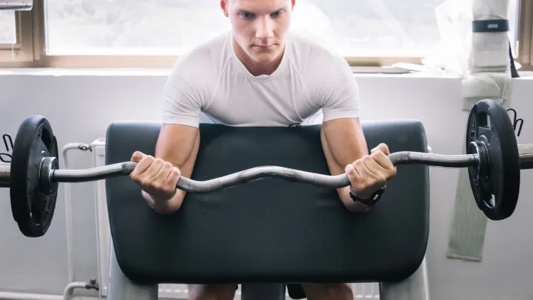 Muscles Worked During the Chest Supported Dumbbell Row