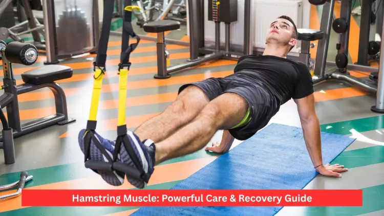 Hamstring Muscle: Powerful Care & Recovery Guide