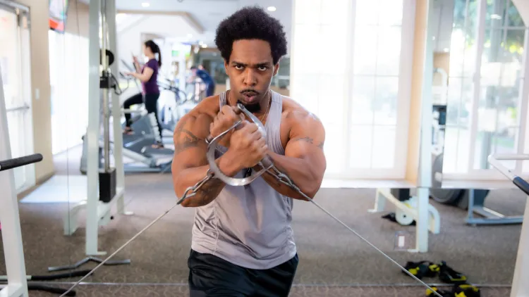 Muscle Growth, Recovery & Performance Insights