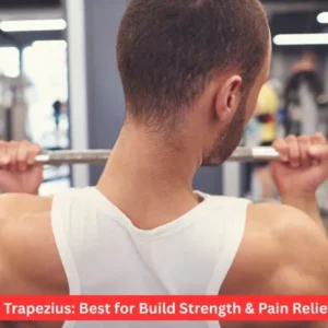Upper Trapezius: Best for Build Strength & Pain Relief 2026