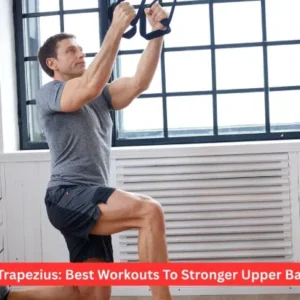 Middle Trapezius: Best Workouts To Stronger Upper Back 2026